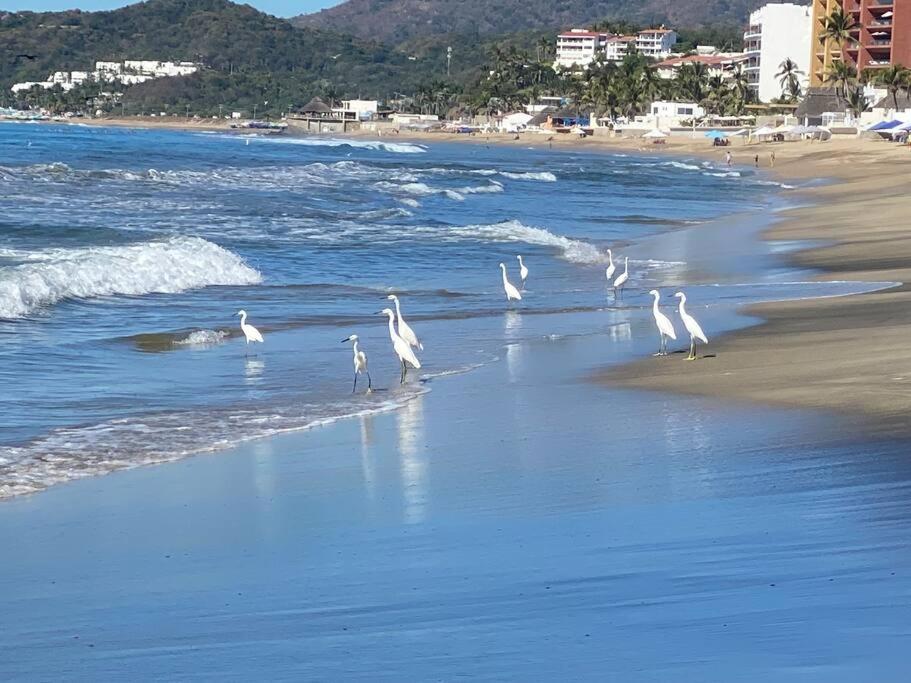 Nuevo Departamento Frente Al Mar Piso 16 Apartamento