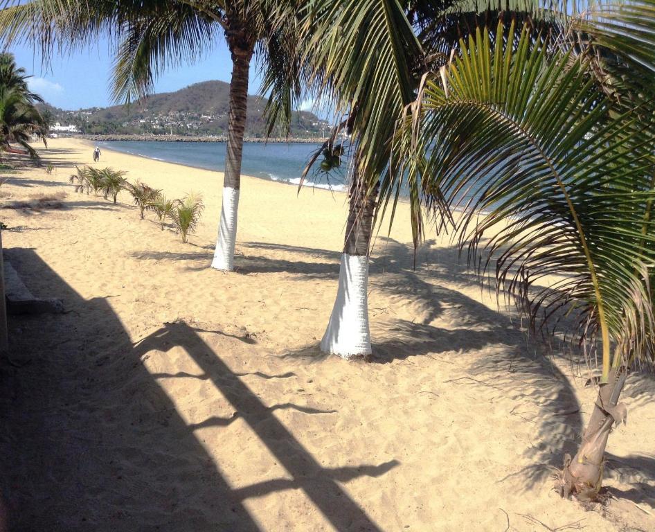 Coral Pacifico Y Villas Hotel Manzanillo