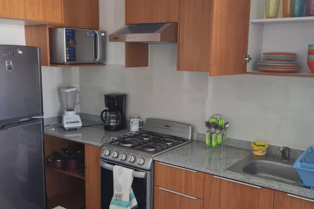 Bonito Penthouse Con Roof Garden Apartment Manzanillo