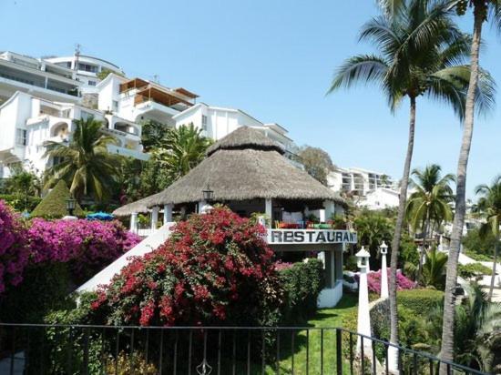 Hermoso En Bahia * Manzanillo
