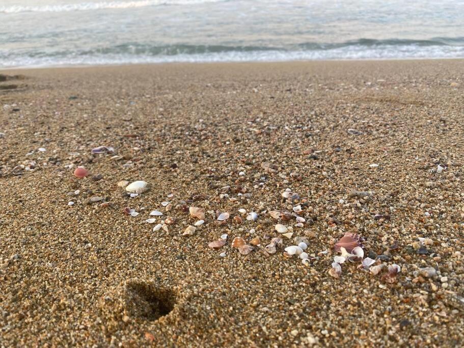 Nuevo Departamento Frente Al Mar Piso 16