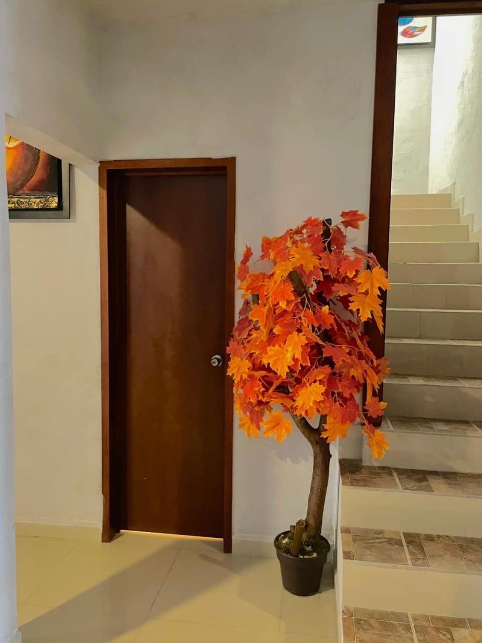 Casa Marea * Manzanillo